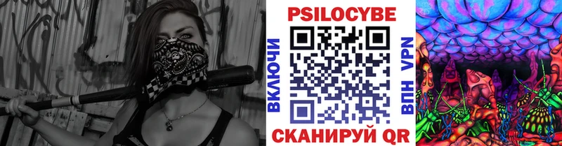 Псилоцибиновые грибы ЛСД darknet Telegram Горно-Алтайск продажа наркотиков